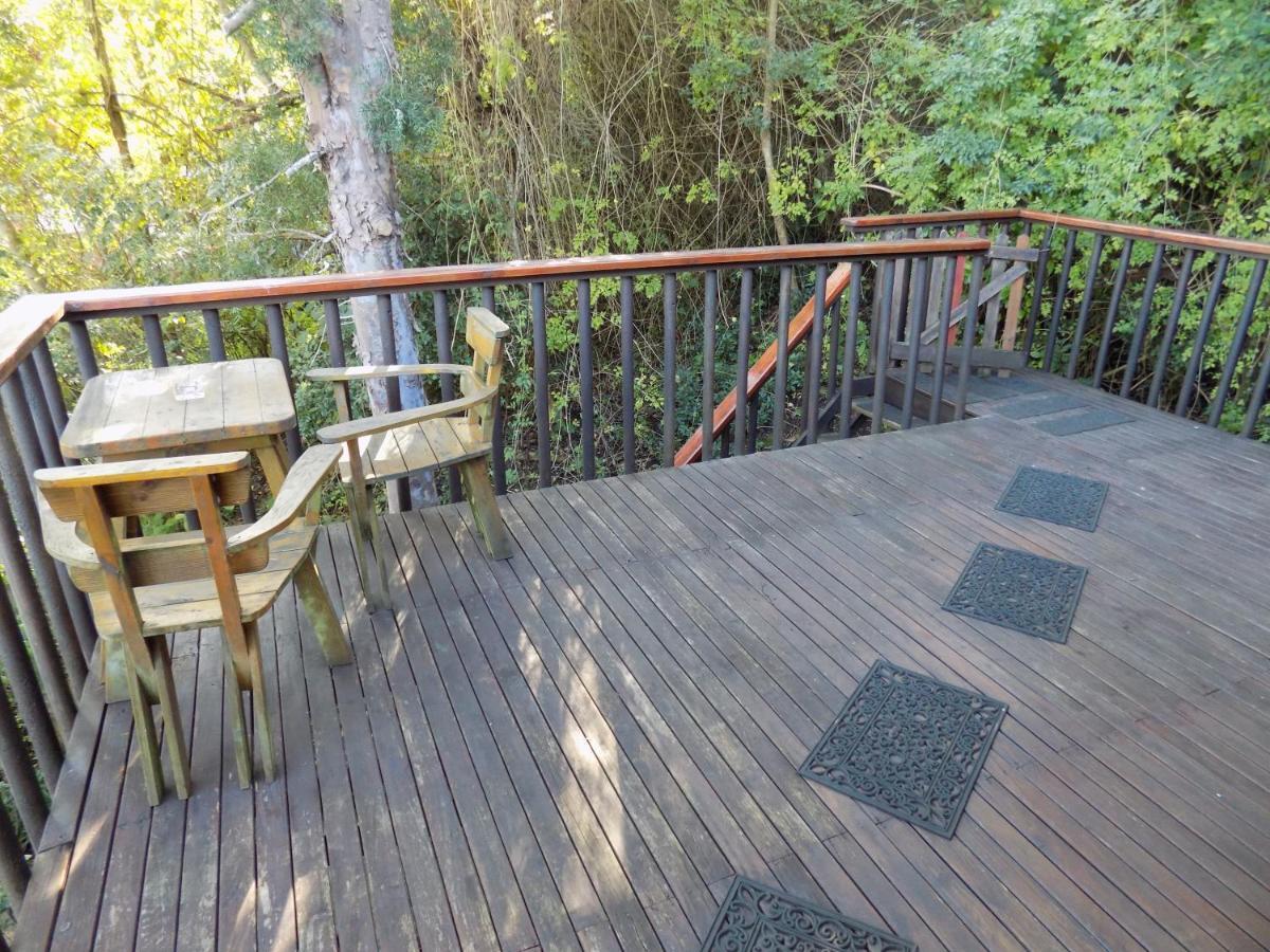 Protea Guest House Knysna Exteriér fotografie